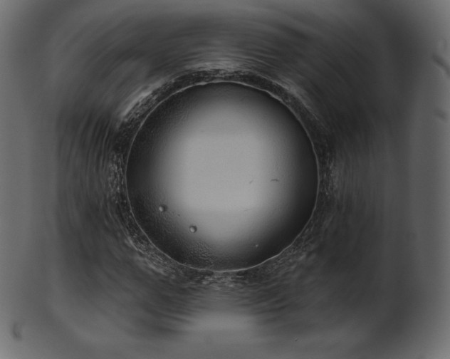 X0000102020967200807181322