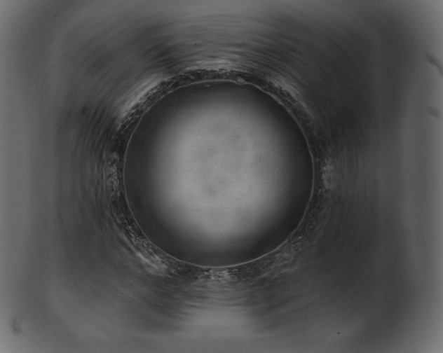 X0000102020968200807181322