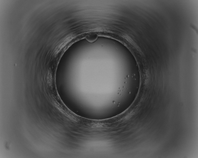X0000102020969200807181322
