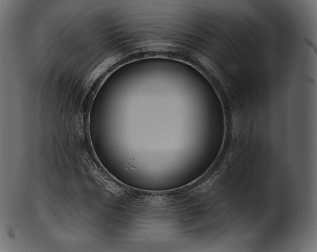 X0000102020970200807181322