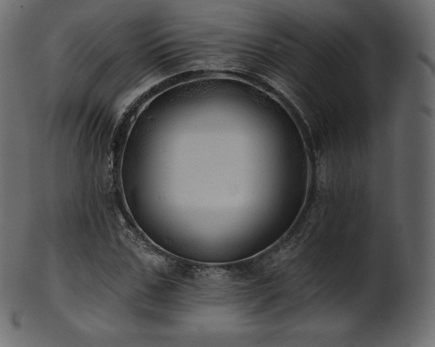 X0000102020971200807181322