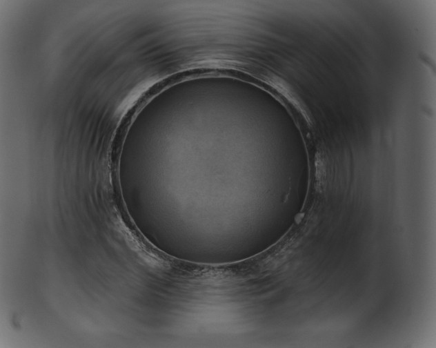 X0000102020972200807181322