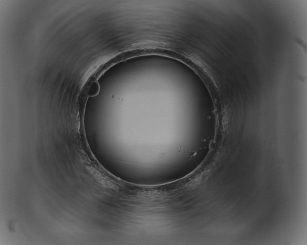 X0000102020973200807181322