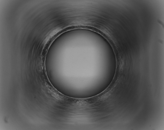 X0000102020974200807181322