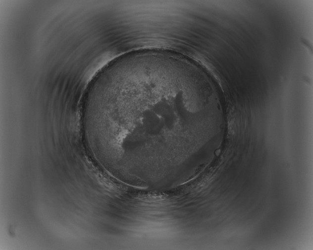 X0000102020975200807181322