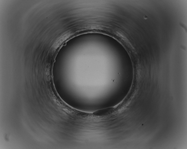 X0000102020977200807181322
