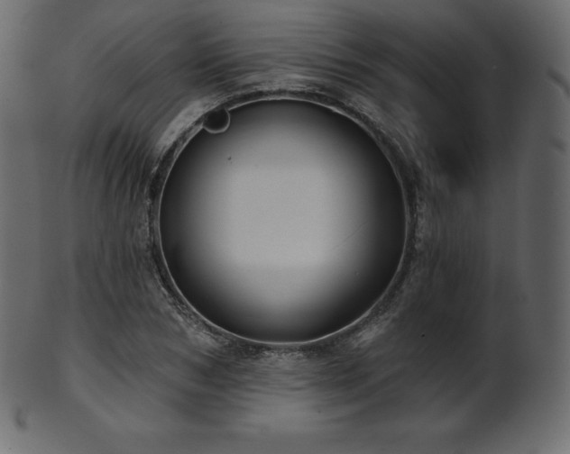 X0000102020978200807181322