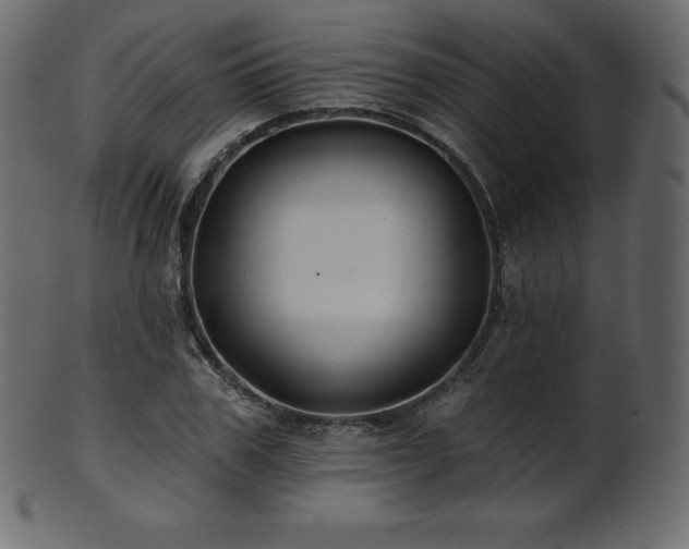 X0000102020979200807181322