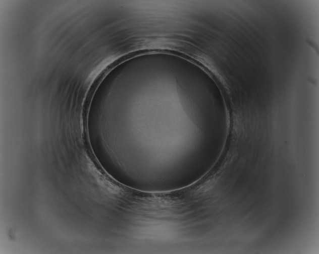 X0000102020980200807181322