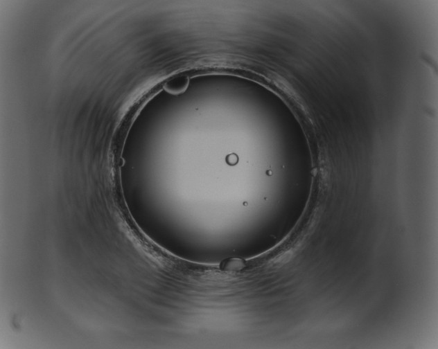 X0000102020981200807181322