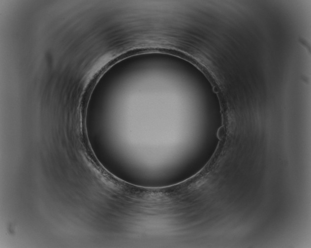 X0000102020982200807181322