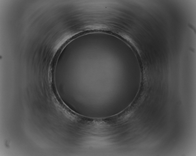 X0000102020983200807181322