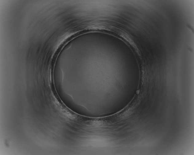 X0000102020984200807181322