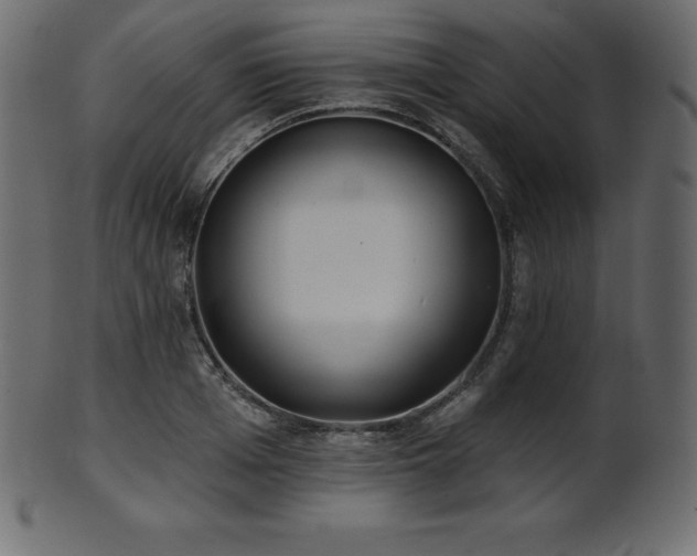 X0000102020985200807181322
