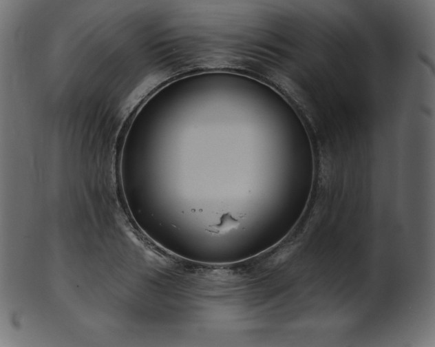 X0000102020986200807181322