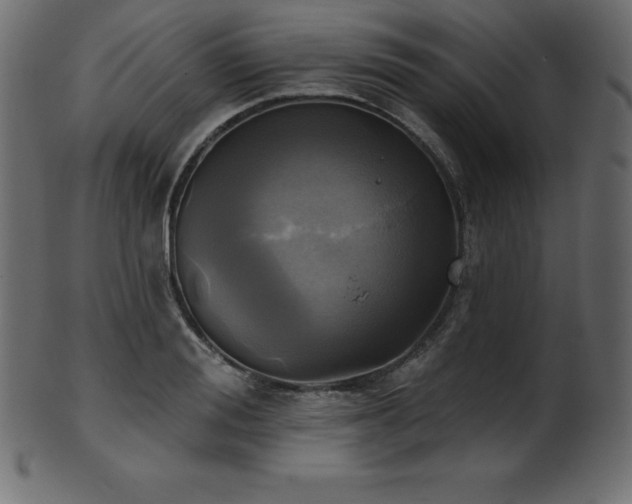 X0000102020988200807181322