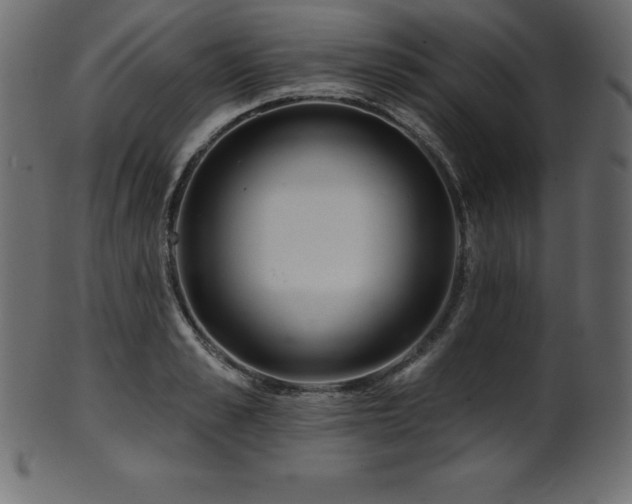 X0000102020989200807181322