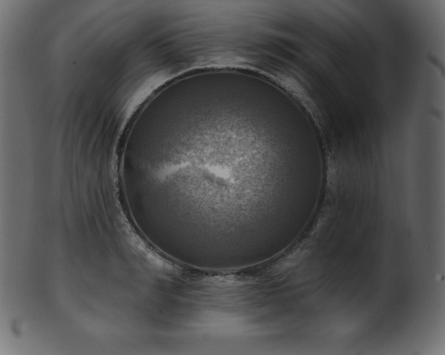 X0000102020990200807181322
