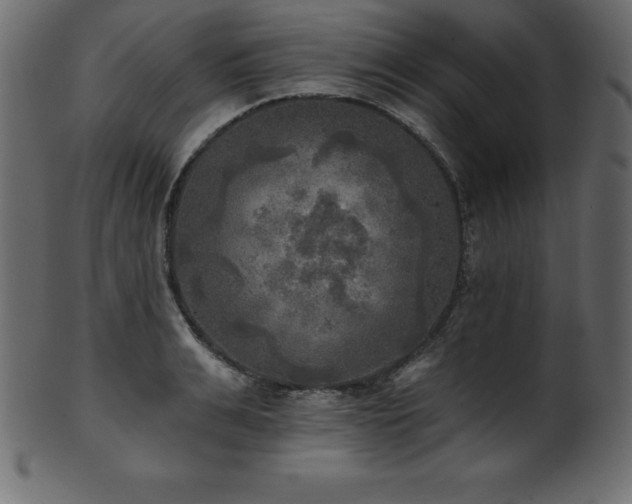 X0000102020991200807181322