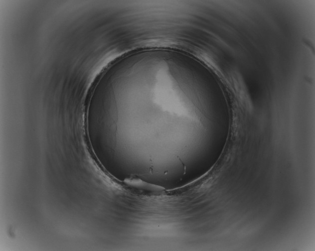 X0000102020992200807181322