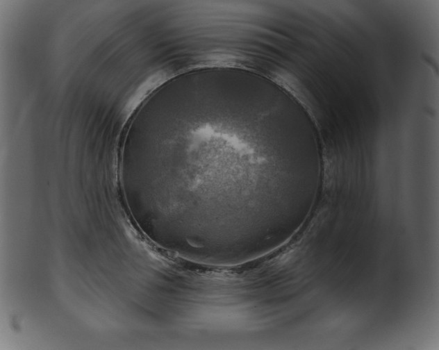 X0000102020994200807181322