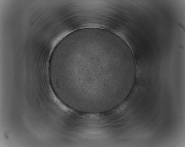 X0000102020995200807181322