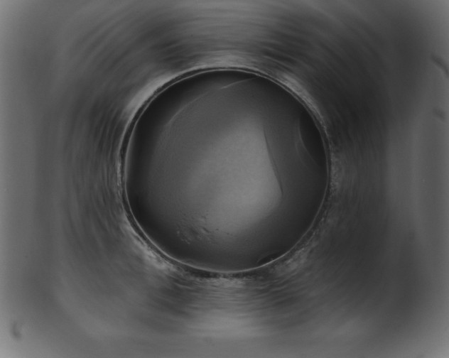 X0000102020996200807181322