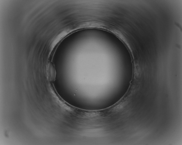 X0000102020997200807181322