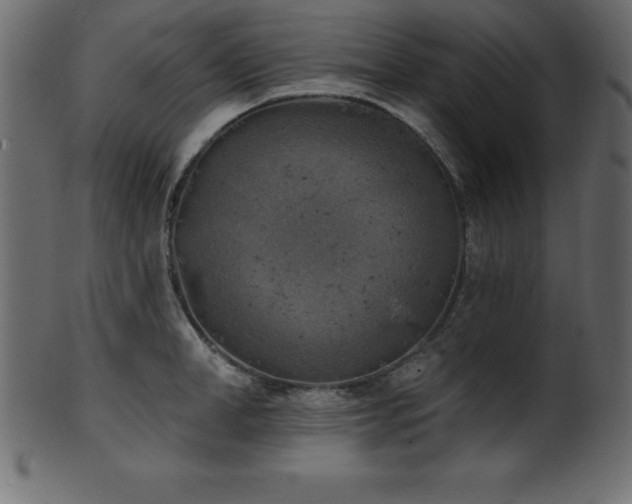 X0000102020998200807181322
