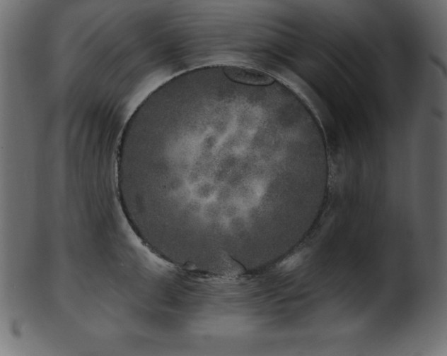 X0000102020999200807181322
