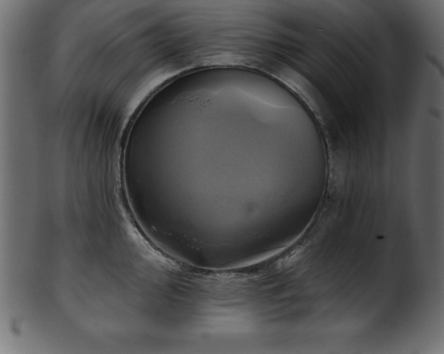 X0000102021000200807181322