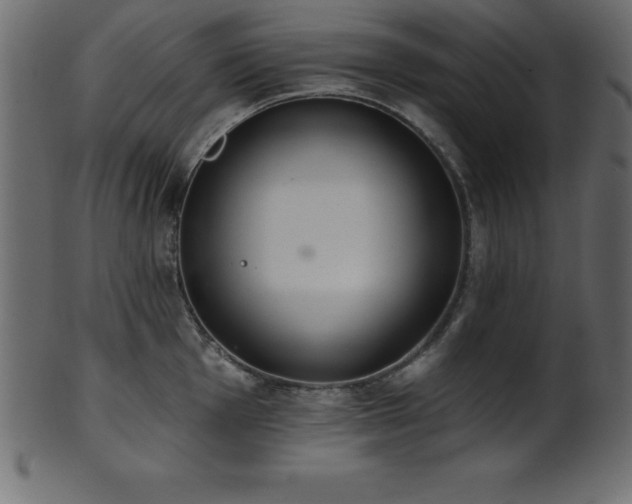 X0000102021001200807181322