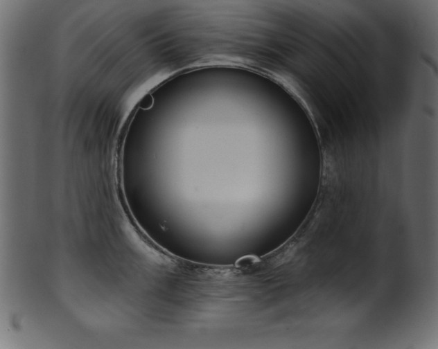 X0000102021003200807181322
