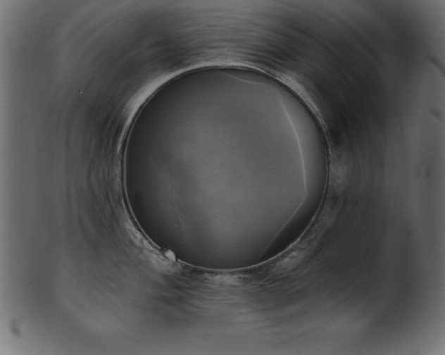 X0000102021004200807181322