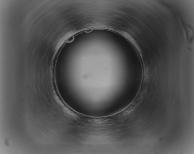 X0000102021005200807181322