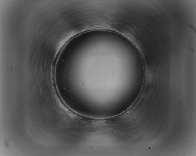X0000102021006200807181322