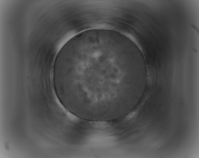 X0000102021007200807181322