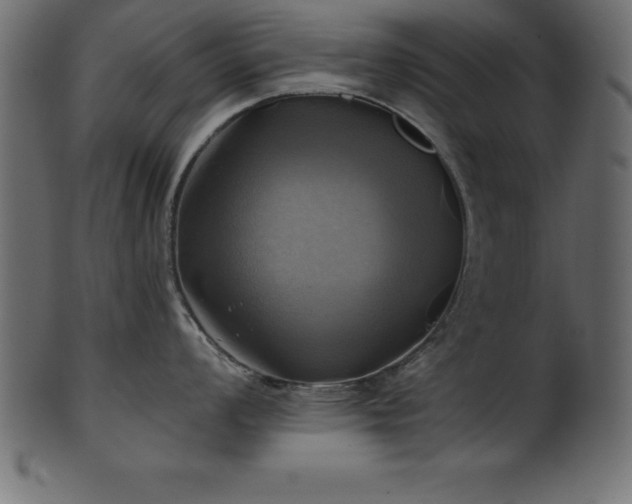 X0000102021008200807181322