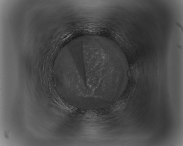 X0000102021009200807181321