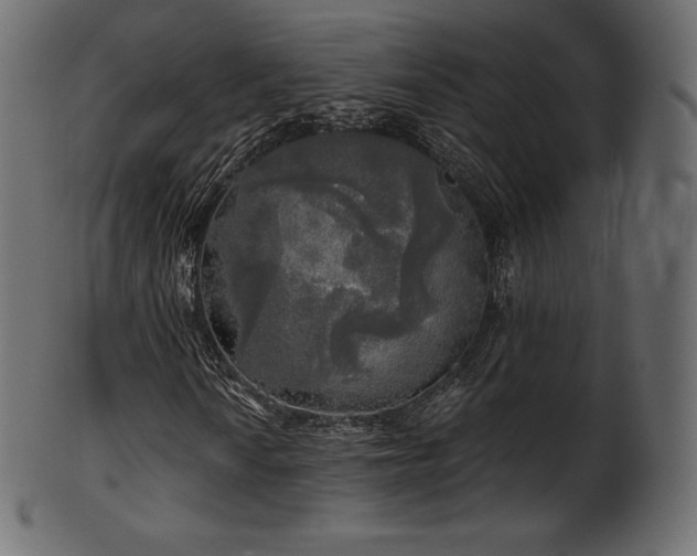 X0000102021010200807181321