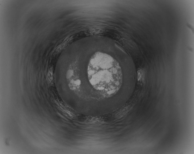 X0000102021011200807181321