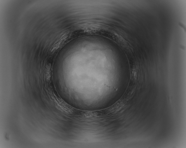 X0000102021012200807181321