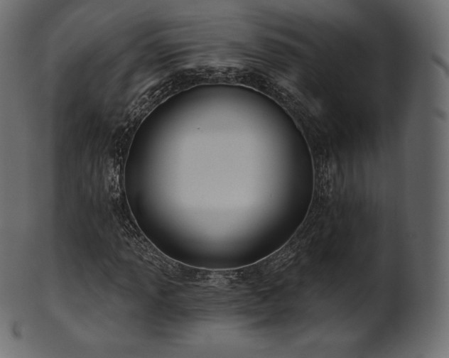 X0000102021013200807181321