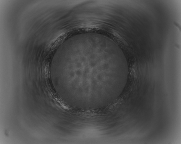 X0000102021014200807181321