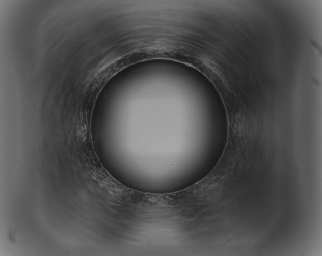 X0000102021015200807181321