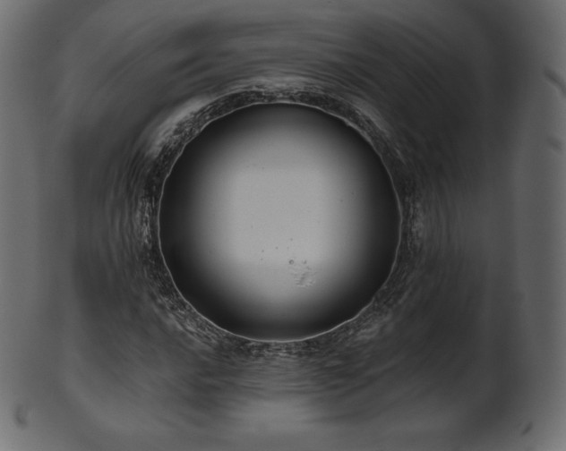 X0000102021016200807181321