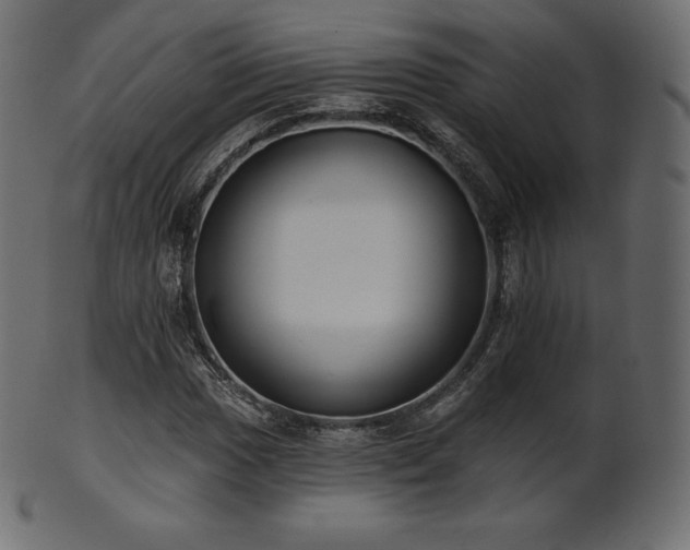 X0000102021017200807181321