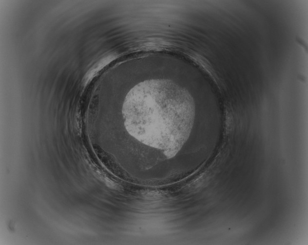 X0000102021018200807181321