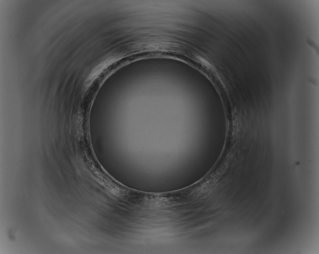 X0000102021019200807181321