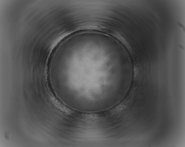 X0000102021020200807181321